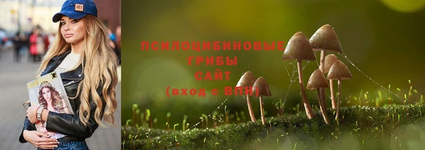 первитин Заводоуковск