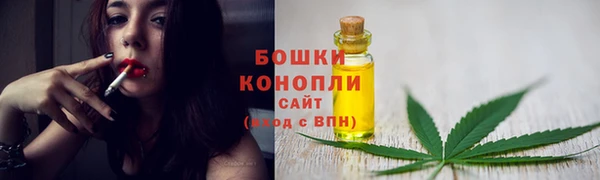 первитин Заводоуковск