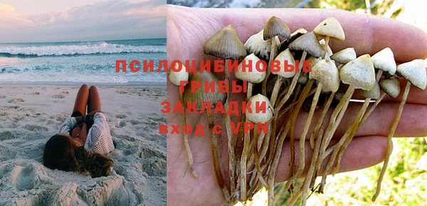 первитин Заводоуковск