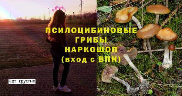 первитин Заводоуковск