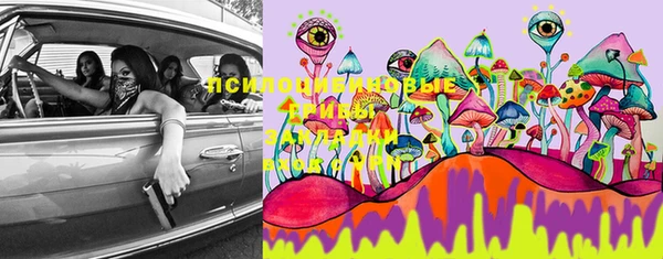 PSILOCYBIN Чердынь