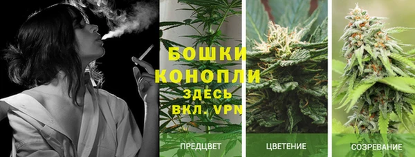 первитин Заводоуковск