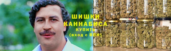 первитин Заводоуковск
